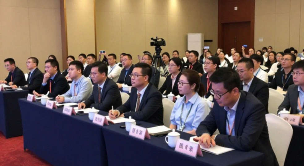Sau tấm vàng Olympiad: Divya Deshmukh, Vaishali và phép thử của những con số